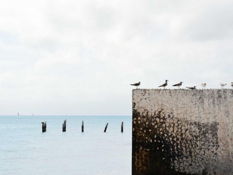 What Makes a Mobile App Truly Valuable?